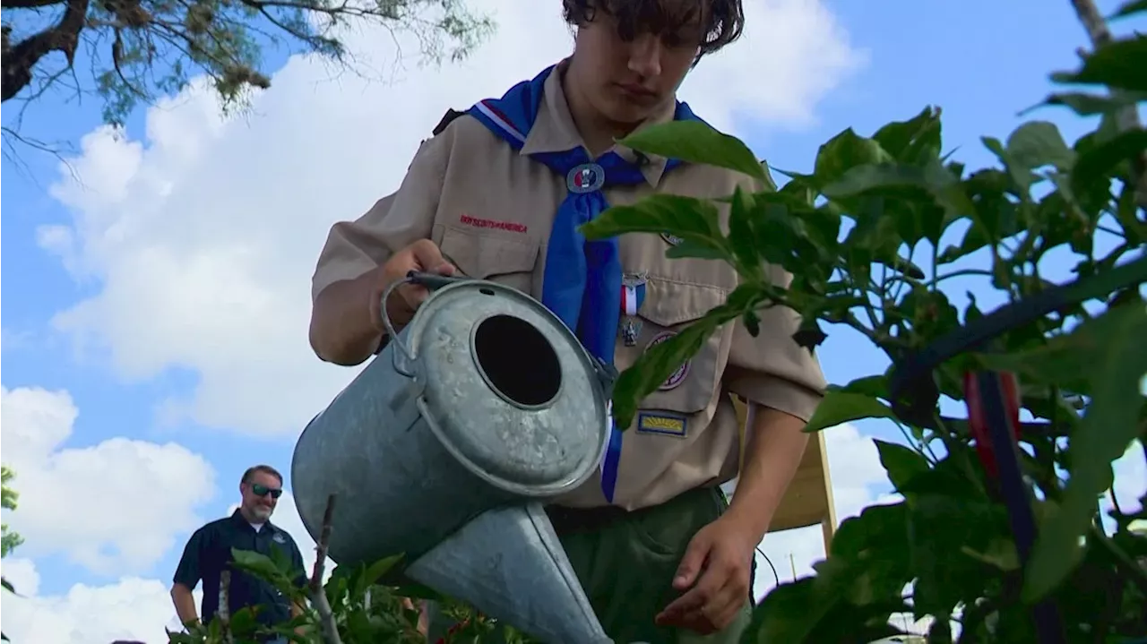 Teen works to bring fresh food to southeast-side community | Kids Who Make SA Great