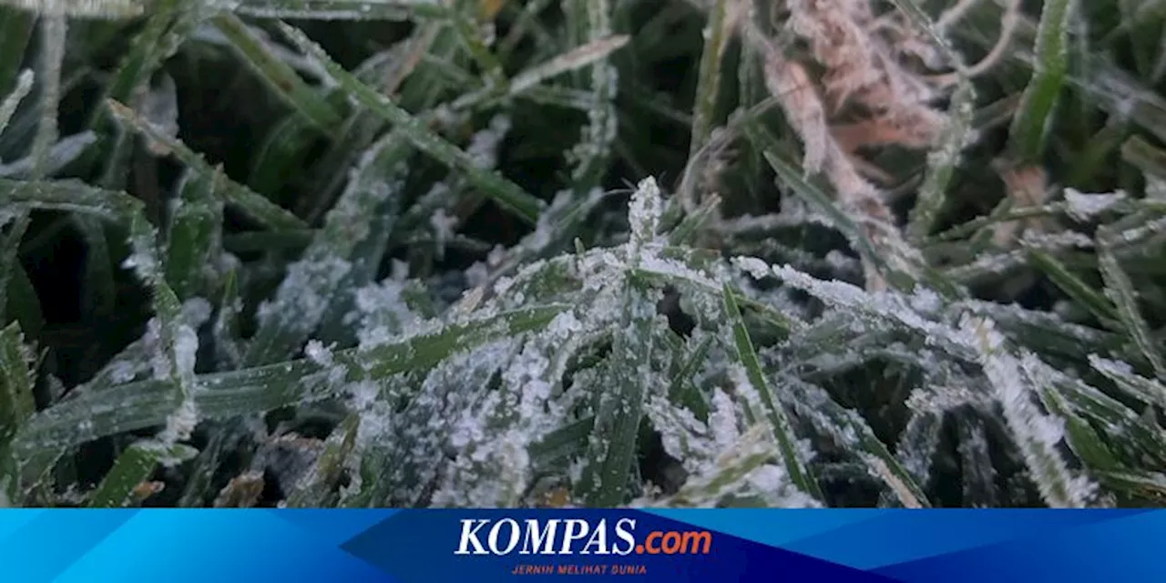Suhu Udara Dingin di Dieng Hasilkan Embun Es, Sampai Kapan?