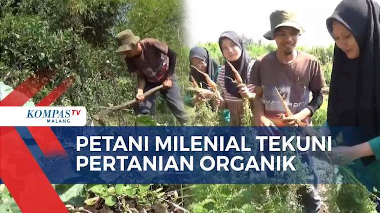 Atasi Keterbatasan Lahan, Petani Milenial Tekuni Pertanian Organik