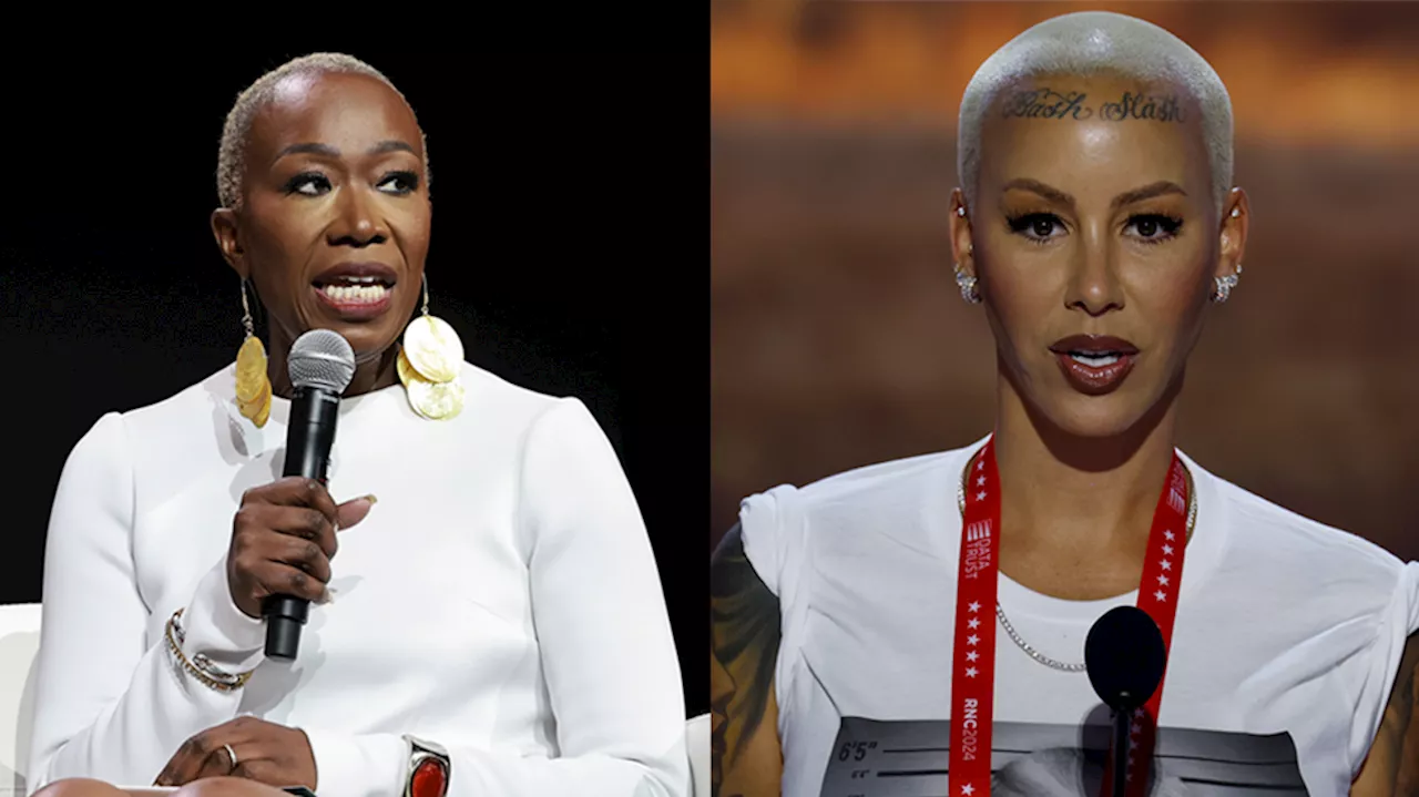 Amber Rose fires back at Joy Reid over RNC address beef: 'Race baiter'