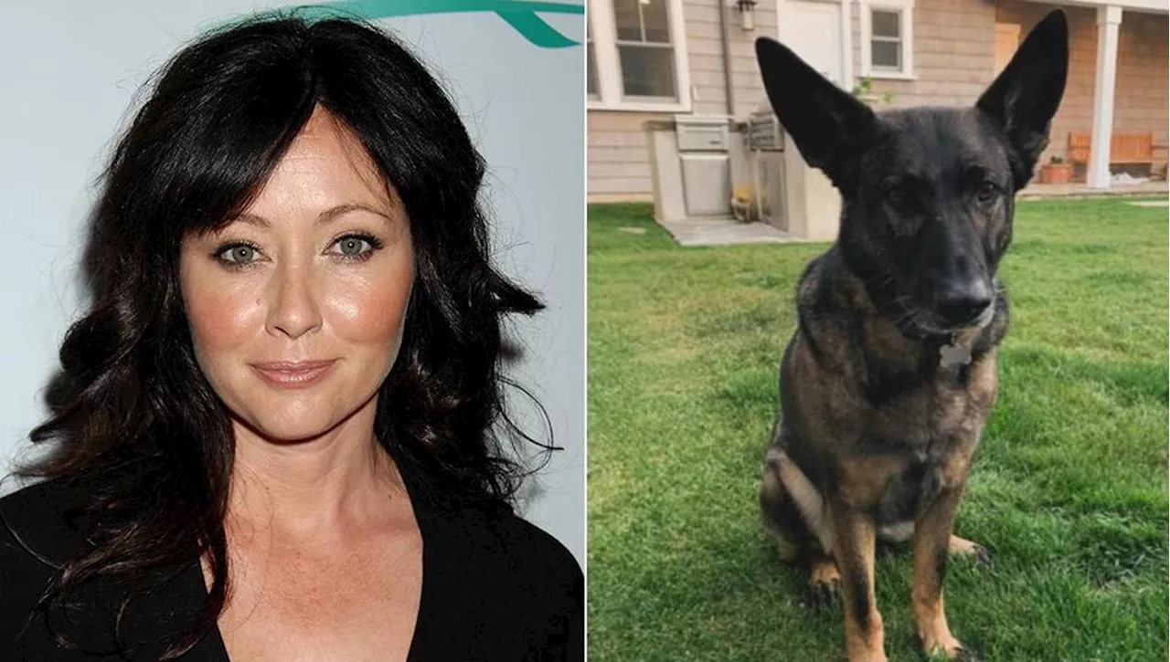 Le ultime volontà dell’attrice Shannen Doherty: essere cremata con il padre e il cane Bowie che le diagnostic…