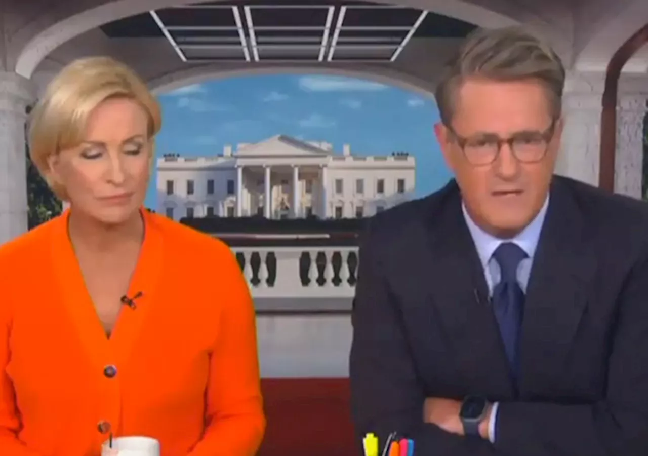 Morning Joe Threaten “They Can Get Somebody Else” MSNBC Pulls Show Again