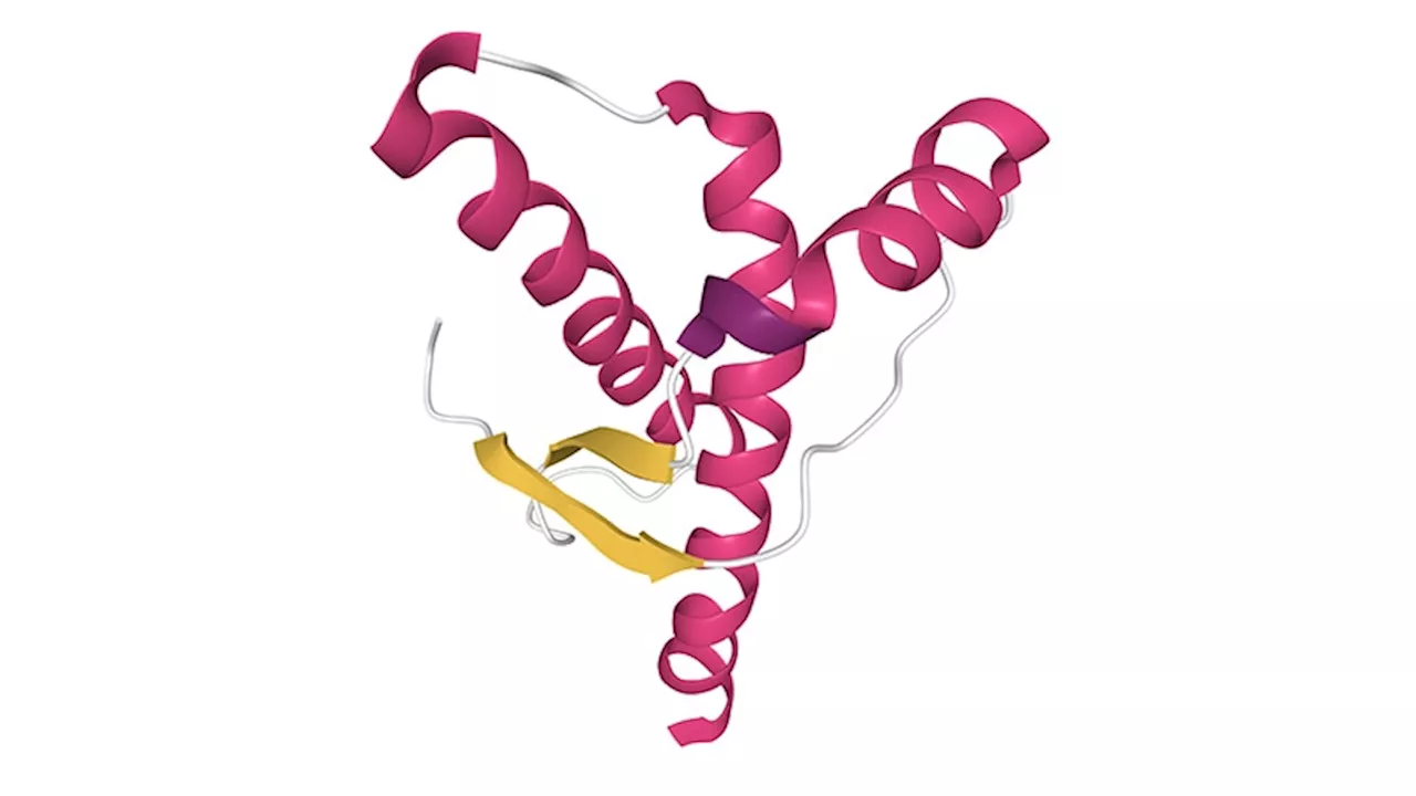 Data on Protein Misfolding Could Improve Cancer Treatment