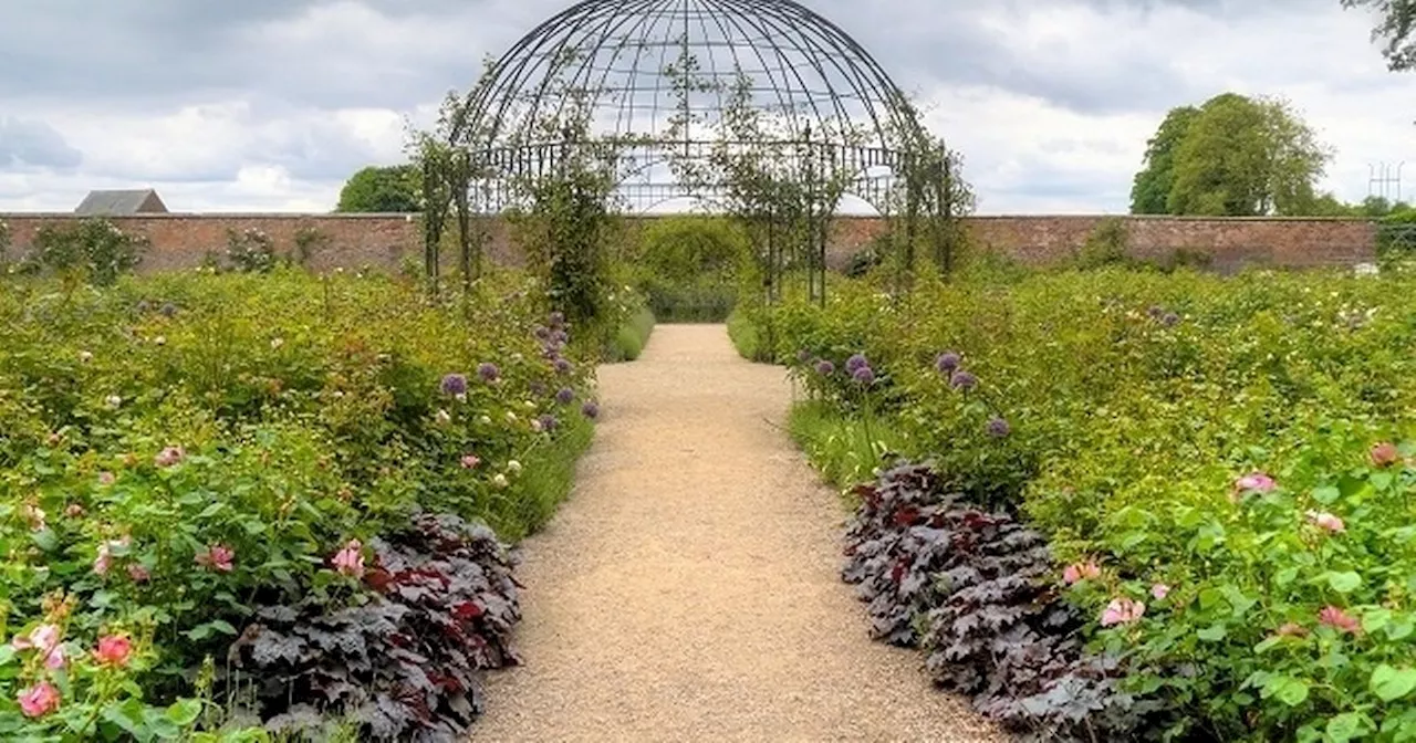 The Greater Manchester garden named one of UK's most Instagrammable