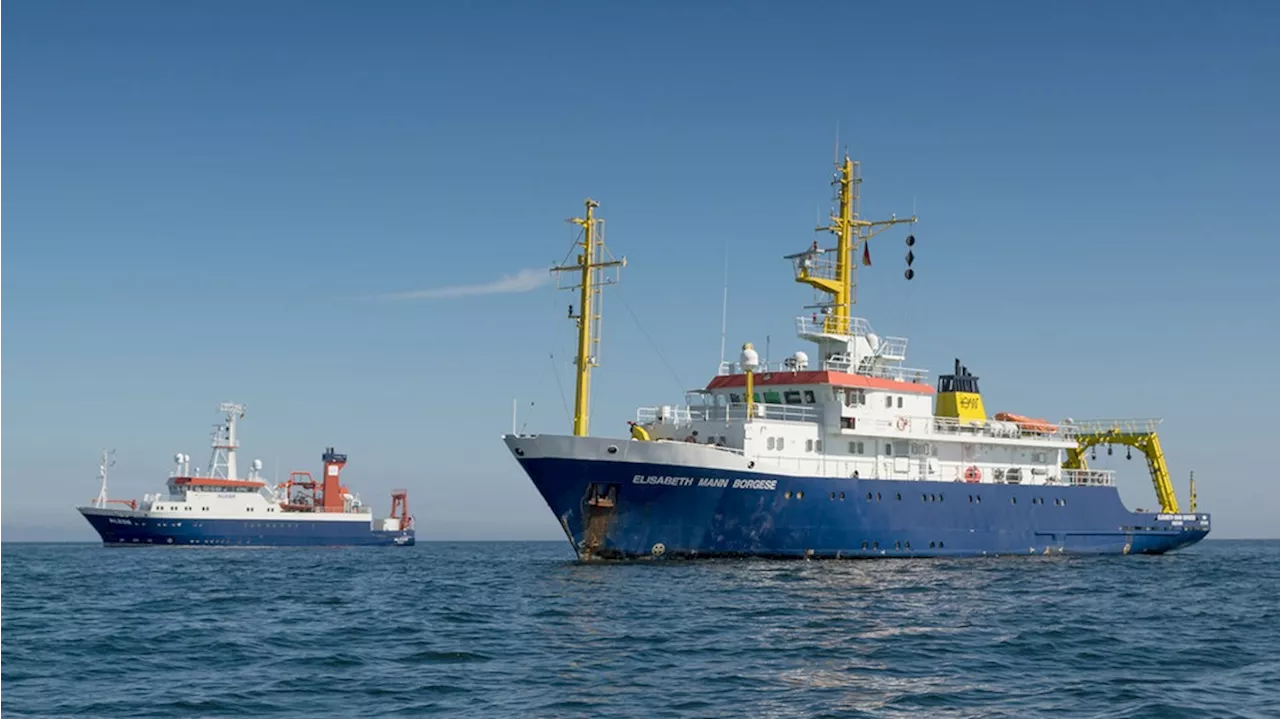 Forscher untersuchen Einsatz von Grundschleppnetz-Fischerei