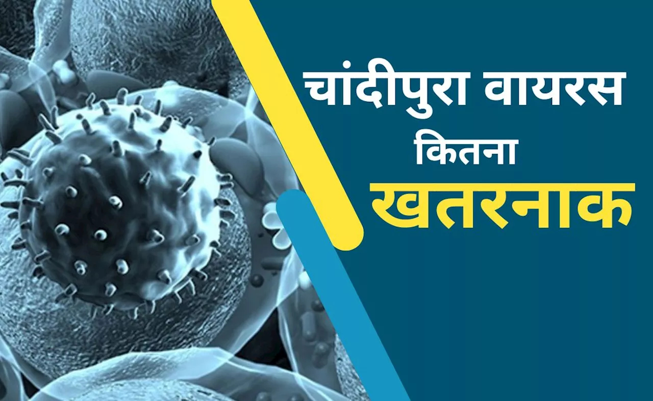 गुजरात में चांदीपुरा वायरस का कहर, 5 दिन में 6 बच्&zwj;चों की मौत, जानें ये कितना खतरनाक