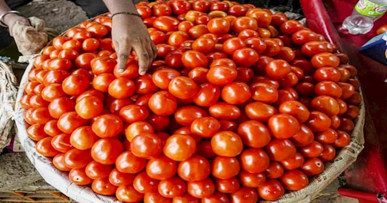 Tomato Price Hike: क्‍यों बढ़ रहे टमाटर के दाम, कीमत में कब आएगी कमी? | Vegetable Price