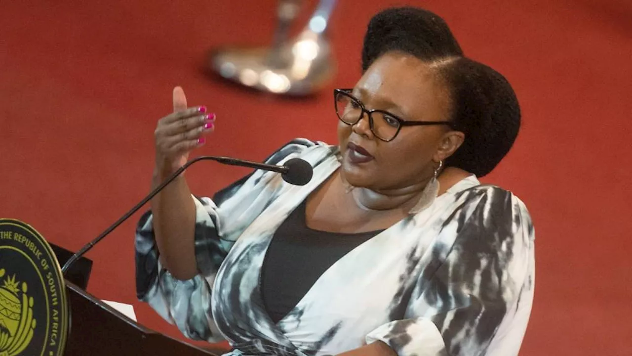 Basic education minister Gwarube to prioritise school infrastructure, 'eradicate pit toilets'