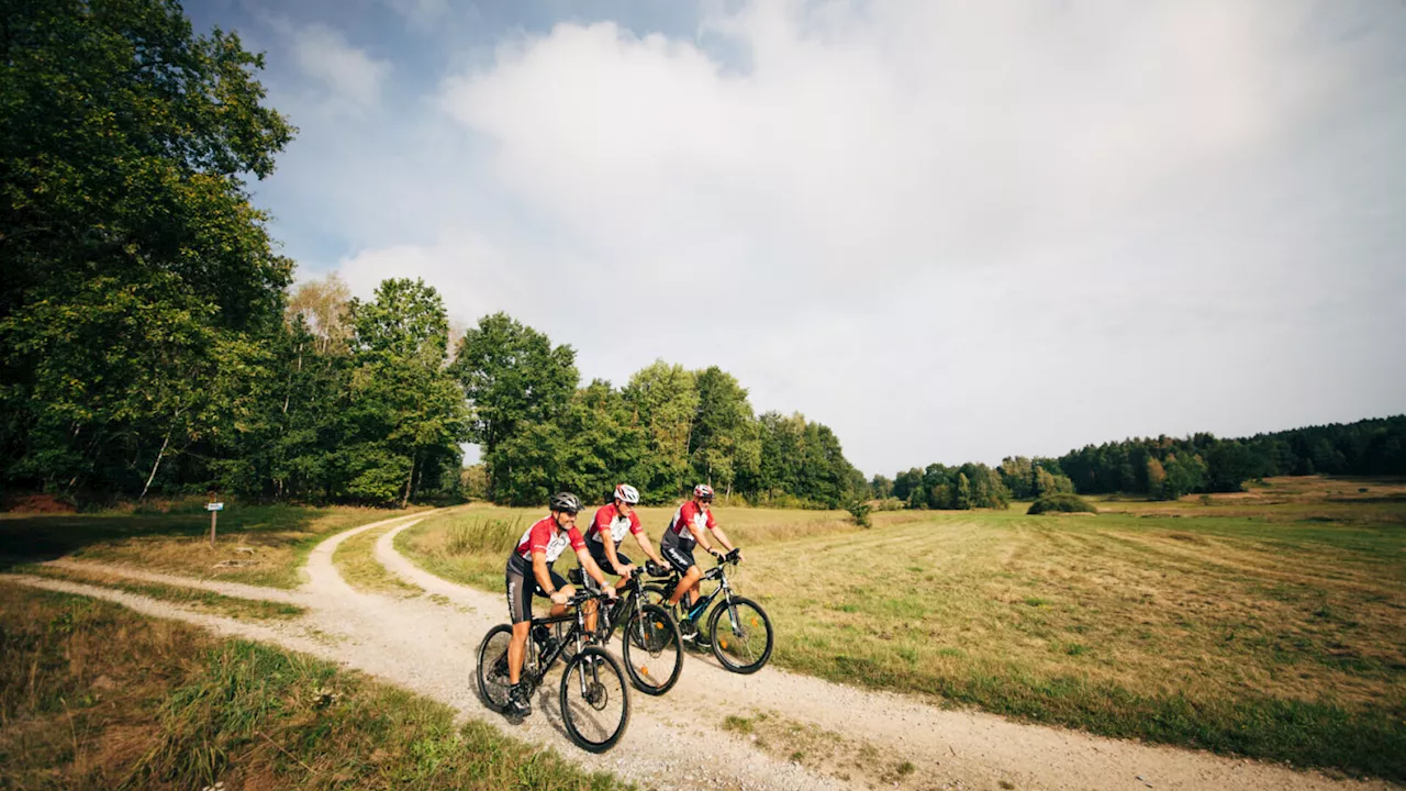 Grenzwache-Hütte wird Rast- und Informationspunkt am EuroVelo 13