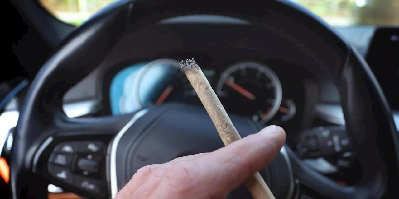 Cannabis und Autofahren: So lange sollten Sie nach dem Kiffen aufs Steuer verzichten