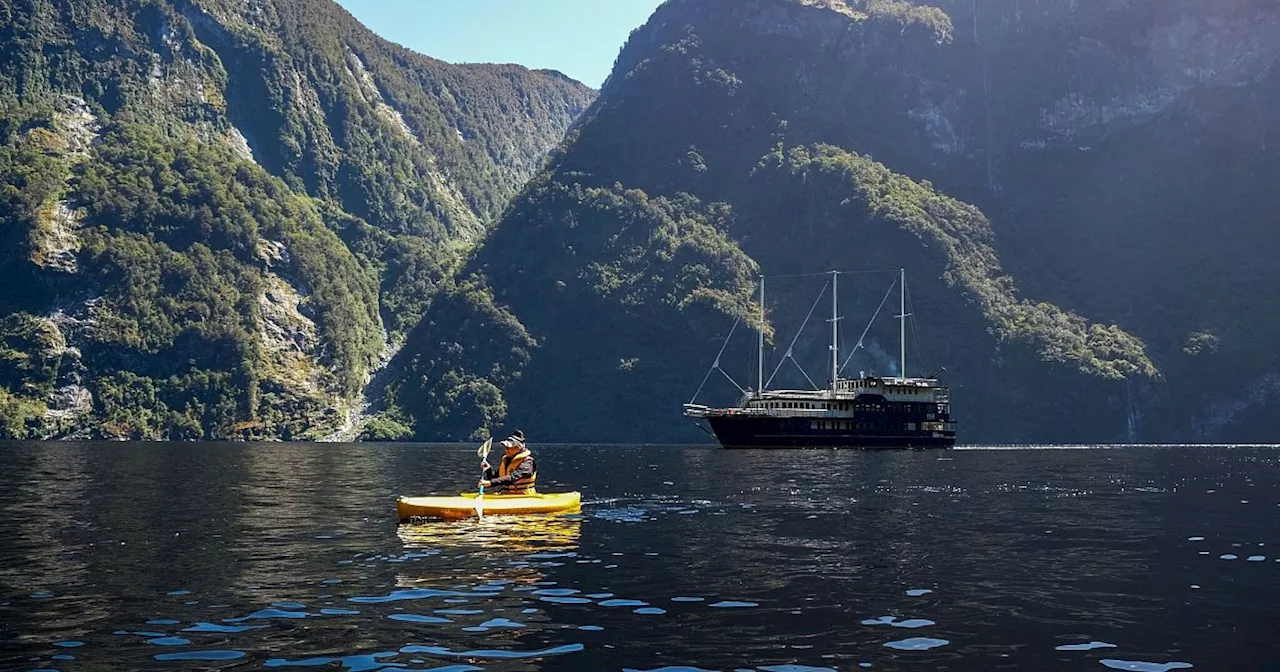 Wo Cook sich fürchtete: Mini-Cruise durch den Doubtful Sound