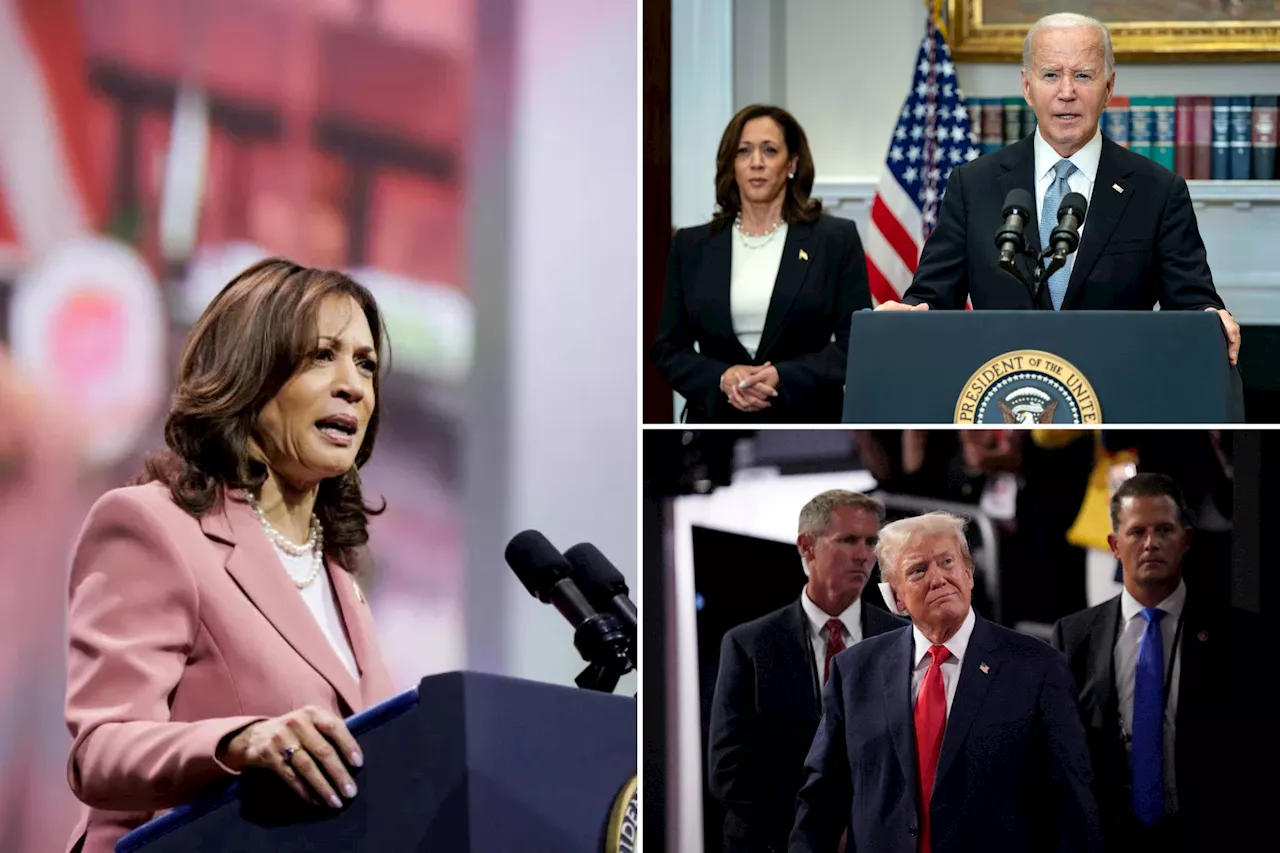 Biden’s enemies were right: Kamala Harris was the ‘insurance policy’ all along