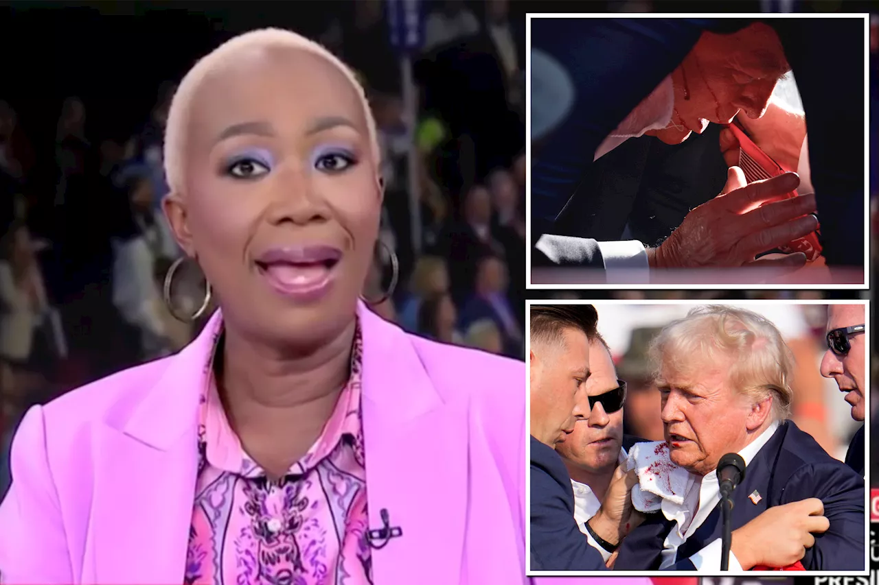 MSNBC host Joy Reid suggested Trump bore the 'consequences' of 'promoting' political violence