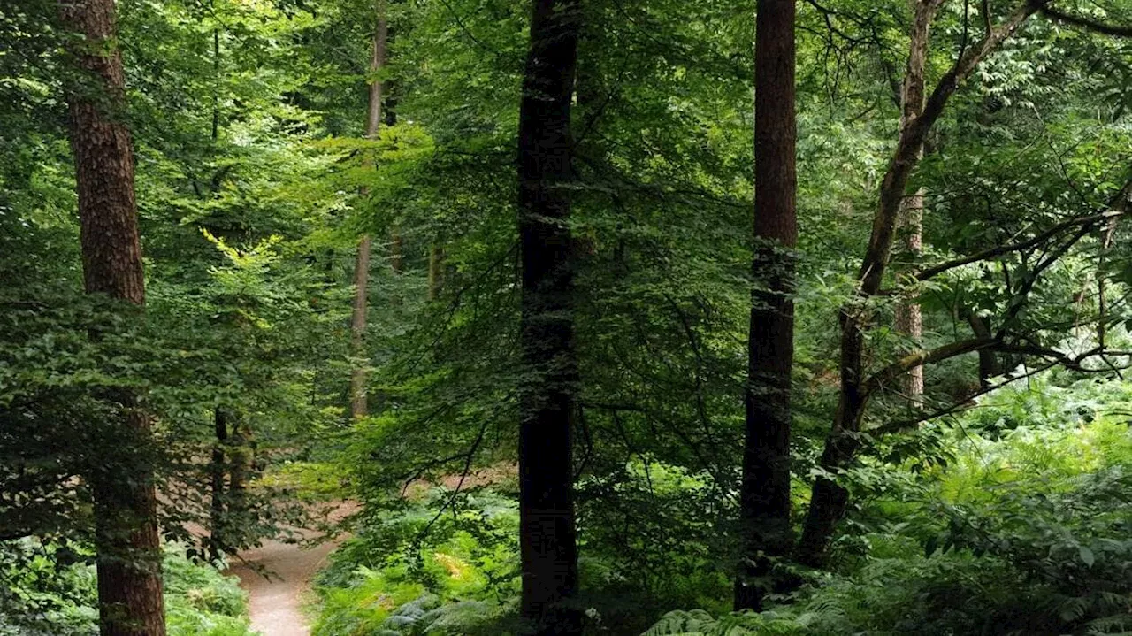 Idées de sortie : les escapades au programme dans le Maine Saosnois