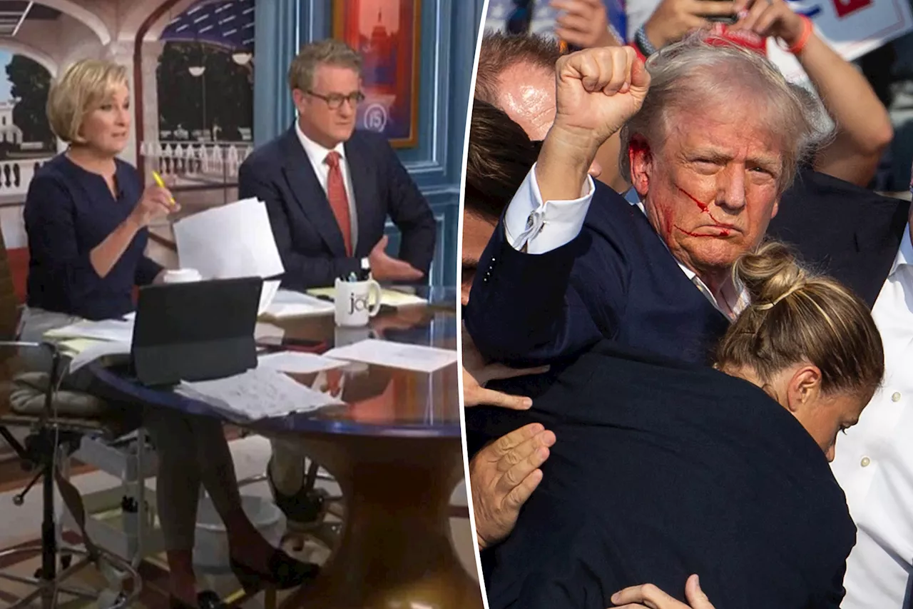 MSNBC says network won't tone down coverage of Donald Trump after pulling 'Morning Joe,' staffers were peeved at decision