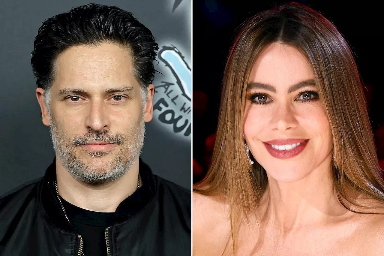 Joe Manganiello Says Sofía Vergara's Claim That They Divorced After Disagreement on Kids Is 'Not True'