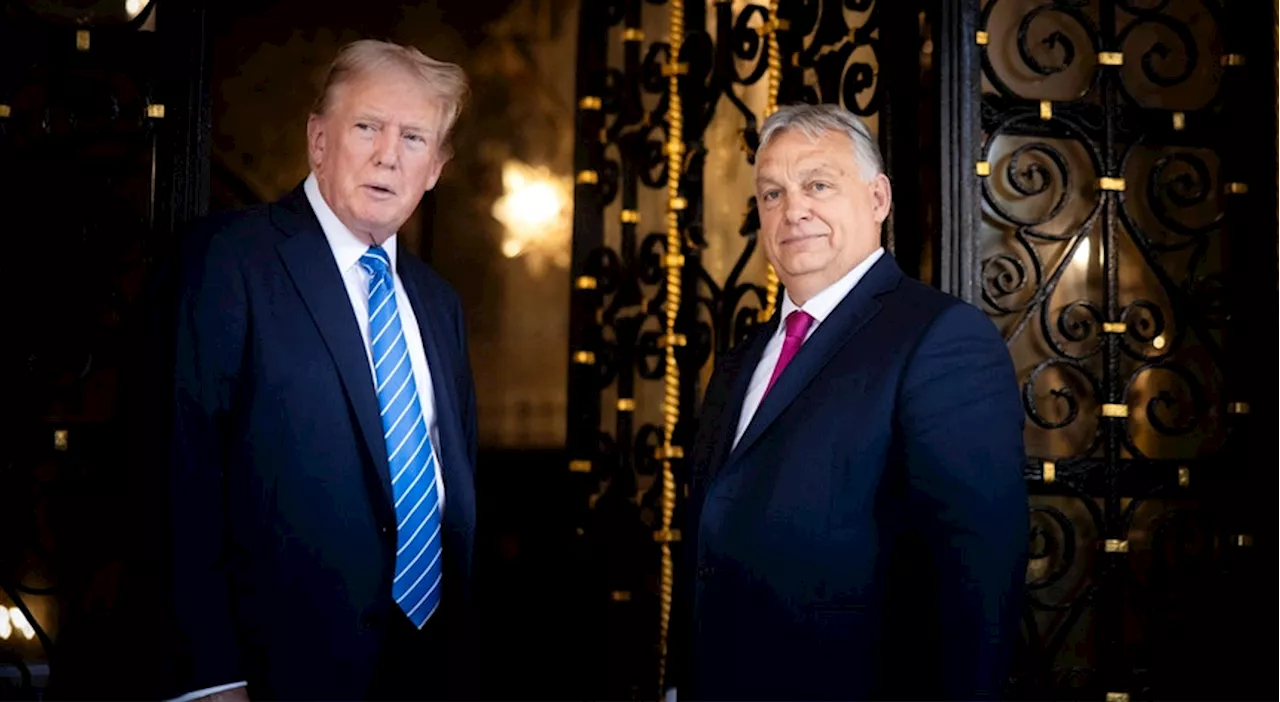 Viktor Orbán revela que Trump tem plano para conversações entre Moscovo e Kiev