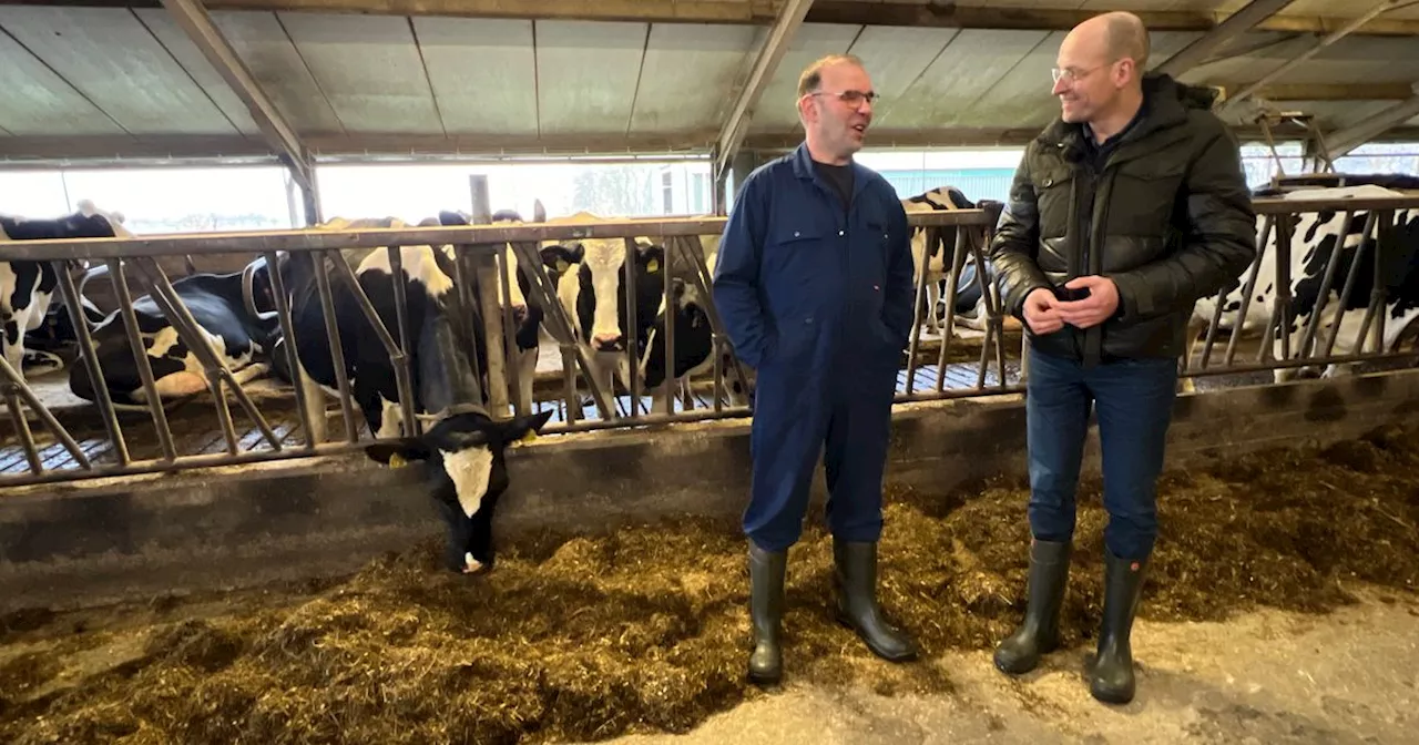 Ook blauwtonggevallen in Drenthe: 'Nieuwe uitbraak is logisch'