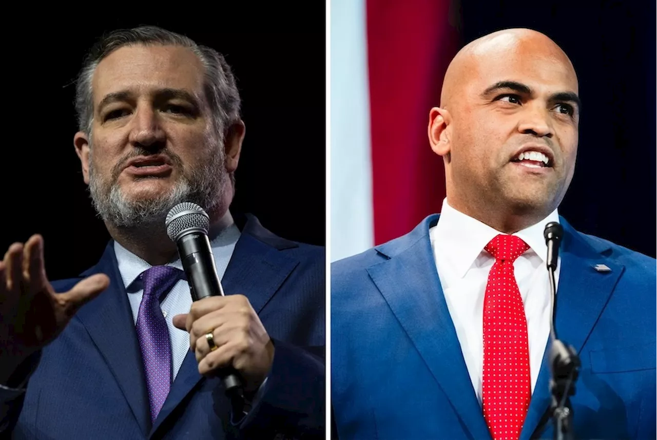 Allred outraises Cruz in latest quarter, but Cruz has more cash on hand