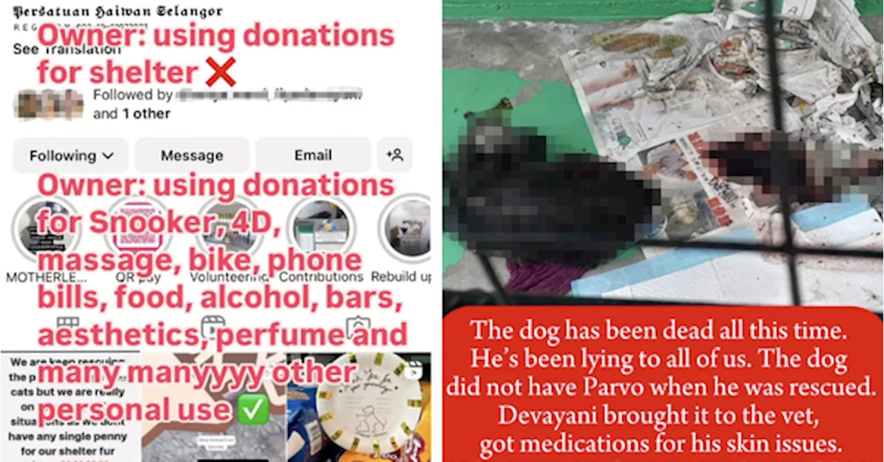 An Animal Shelter In Semenyih Is Being Accused Of Misusing Donations & Neglecting Rescues