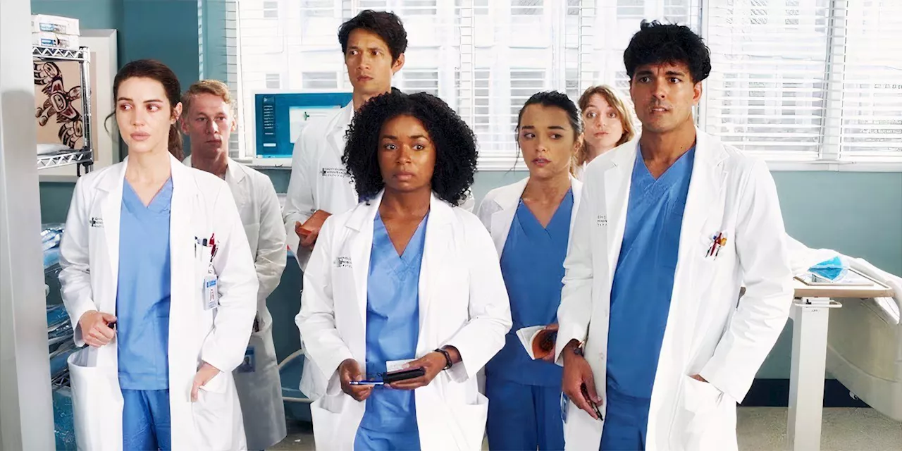 Grey's Anatomy Season 21 Casts New Chaplain Ahead Of Levi & Mika's Exits