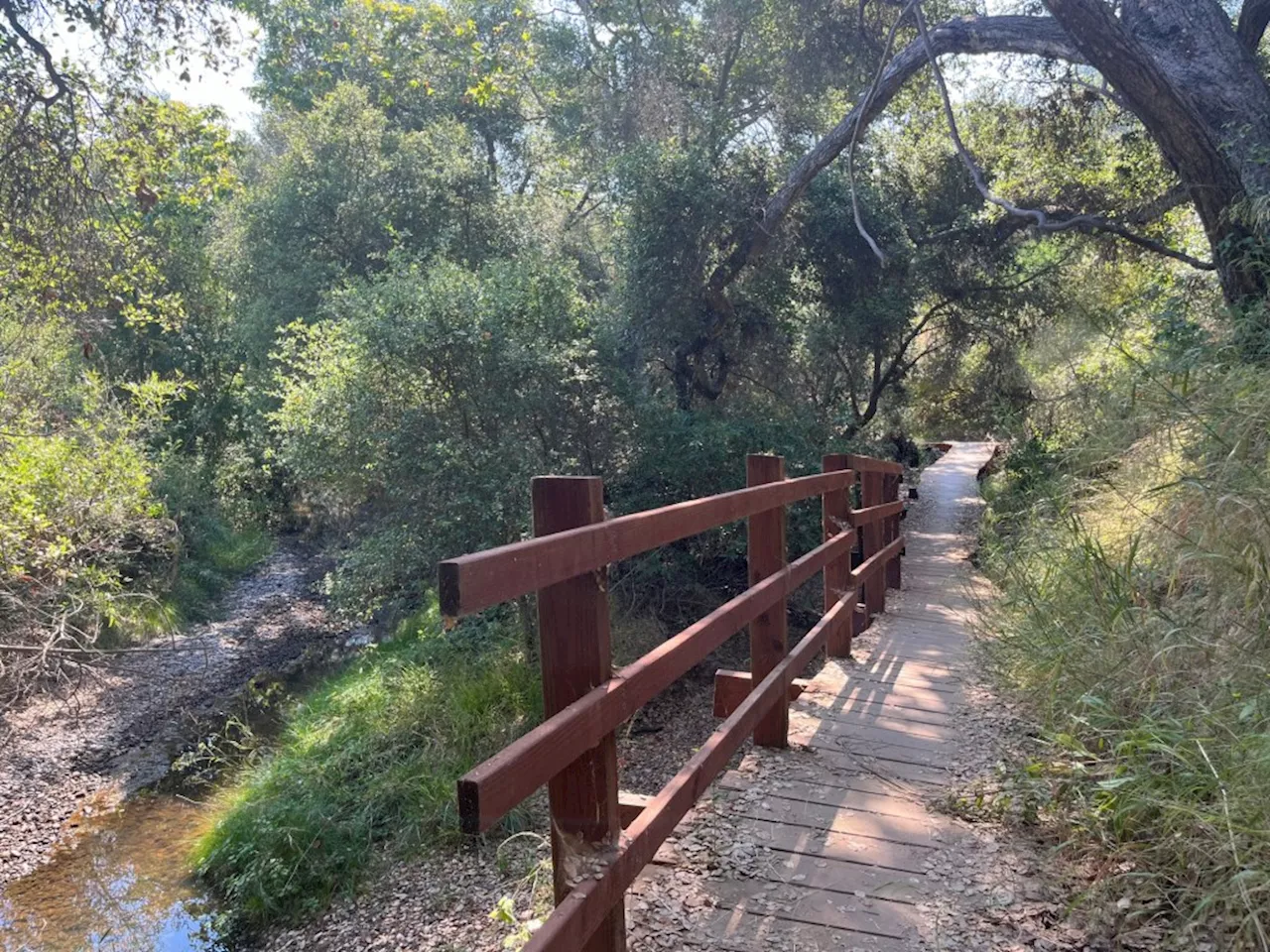 Hike of the week: Find quick nature access in Clairemont at Marian Bear Memorial Park