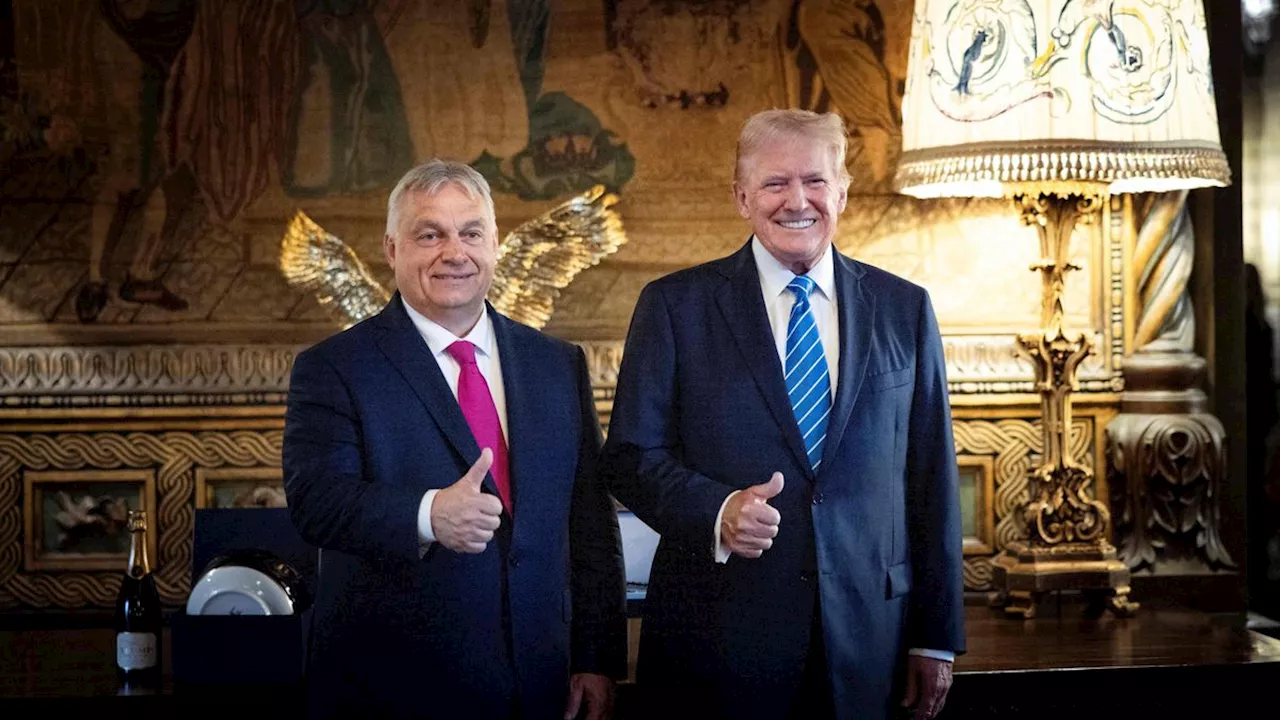 Monate vor US-Wahl: Trump wäre laut Orbán zu sofortigen Vermittlungen im Ukrainekrieg bereit