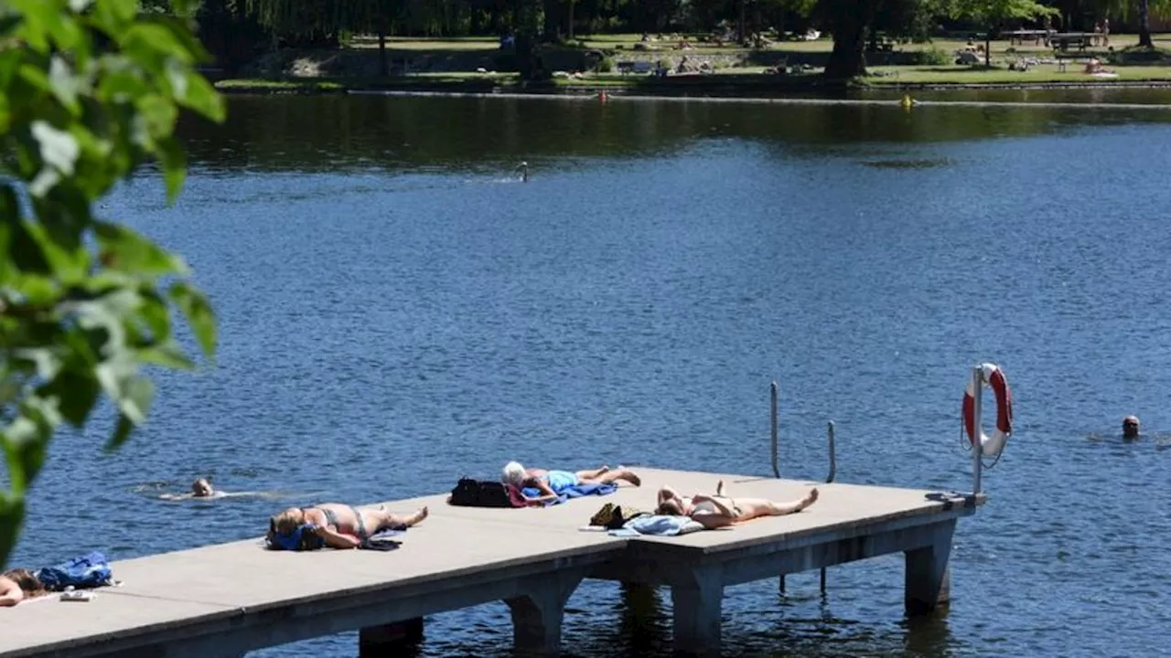 Sommer: Beste Wasserqualität in fast allen Badeseen