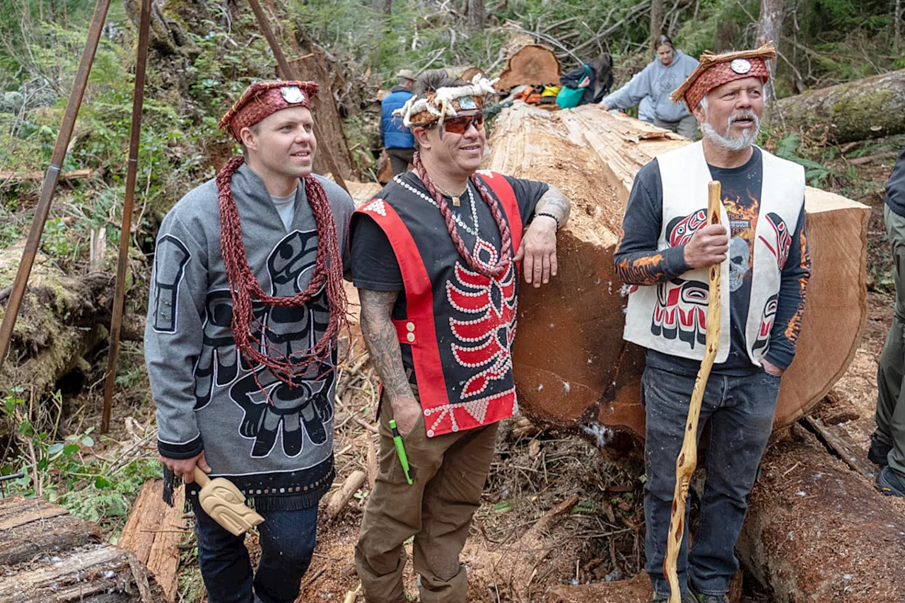 Traditional canoe, carved with traditional methods, emerges from B.C. forest