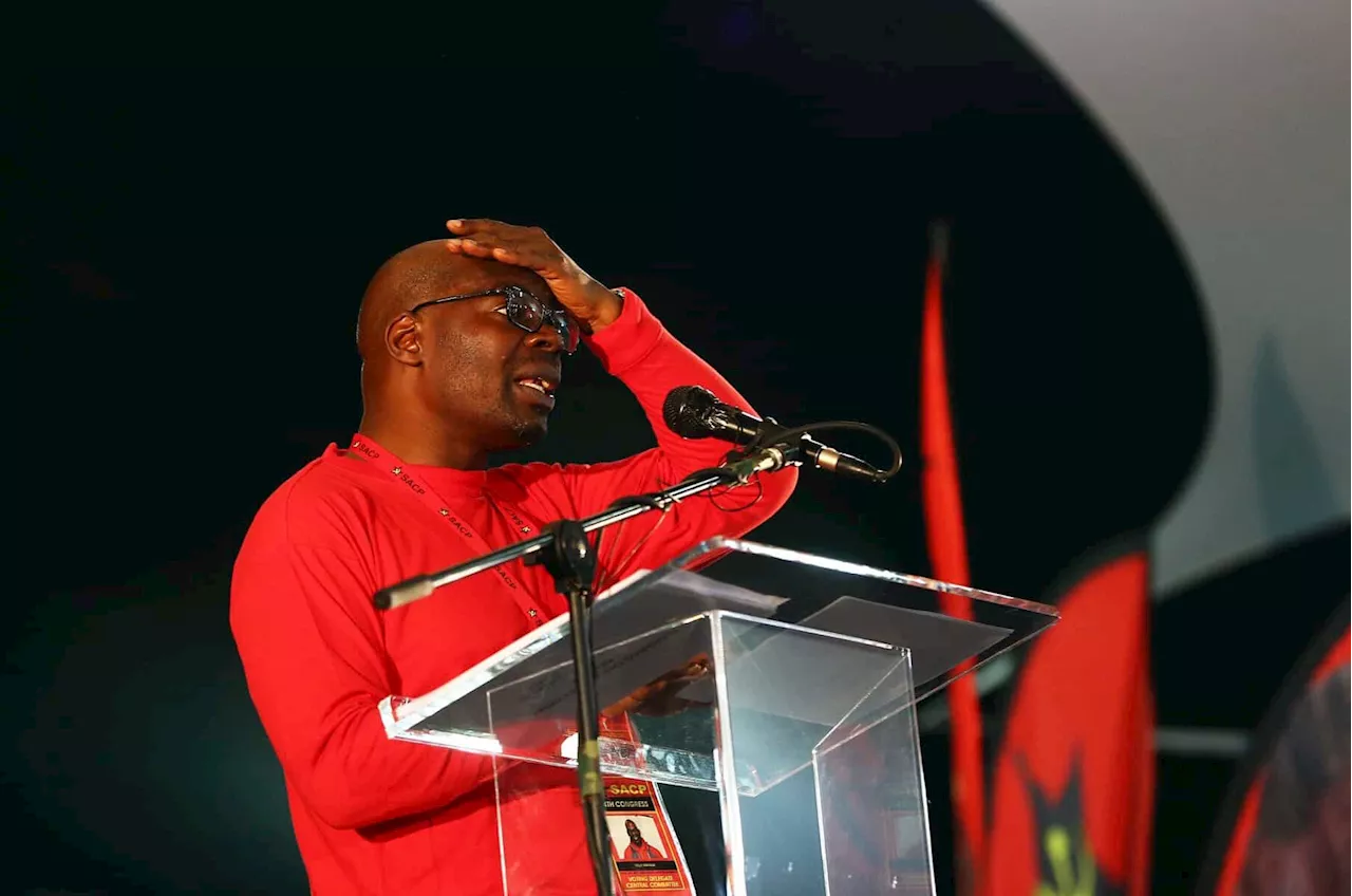 ‘Better to be irritated by EFF than neo-liberal forces’ – SACP’s Mapaila slams the GNU