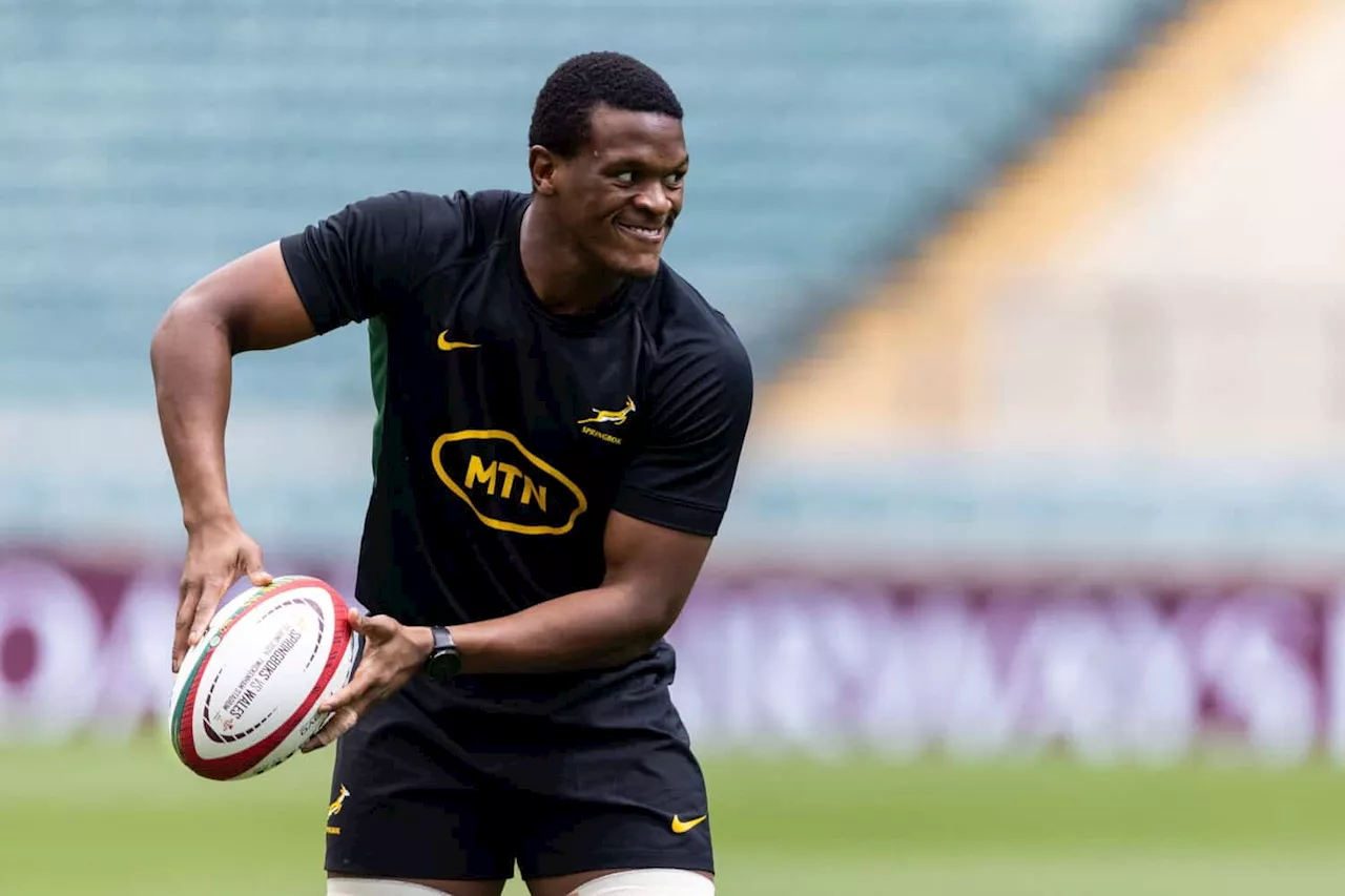 Boks team to face Portugal: All the stats, facts and figures