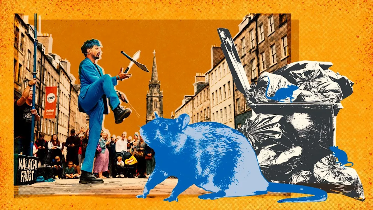 Edinburgh Fringe prepares for rat plague and ‘ugly mess’ as bin strike looms