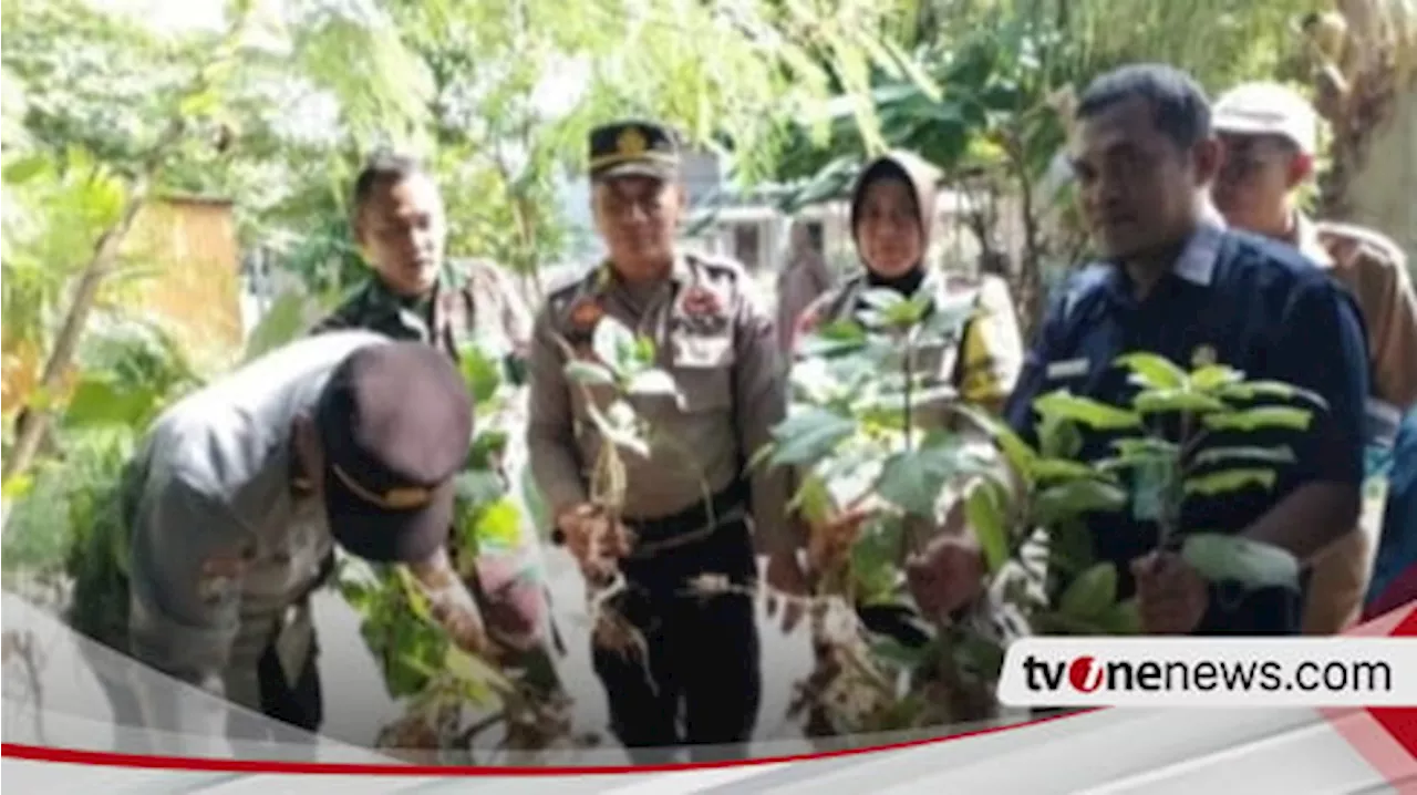 Buntut 50 Orang Mabuk Kecubung, Polres Banjarbaru Musnahkan Tanaman Kecubung