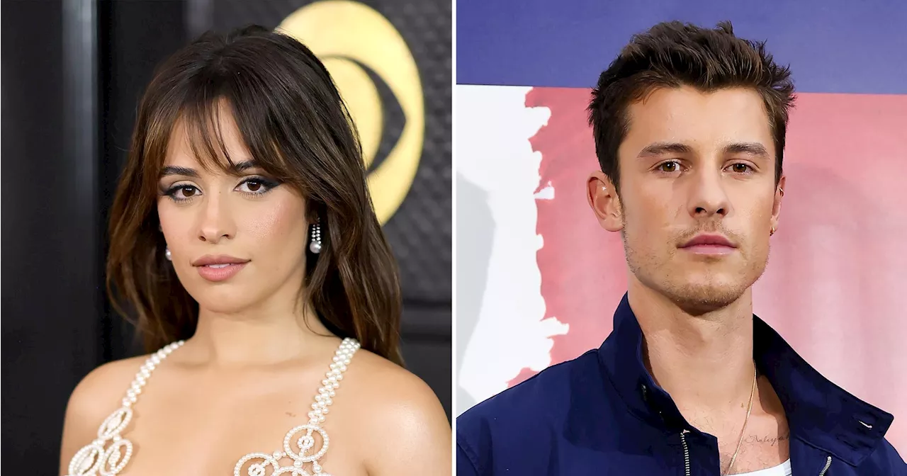 Camila Cabello and Ex Shawn Mendes Are 'Not Dating' Despite Reunion