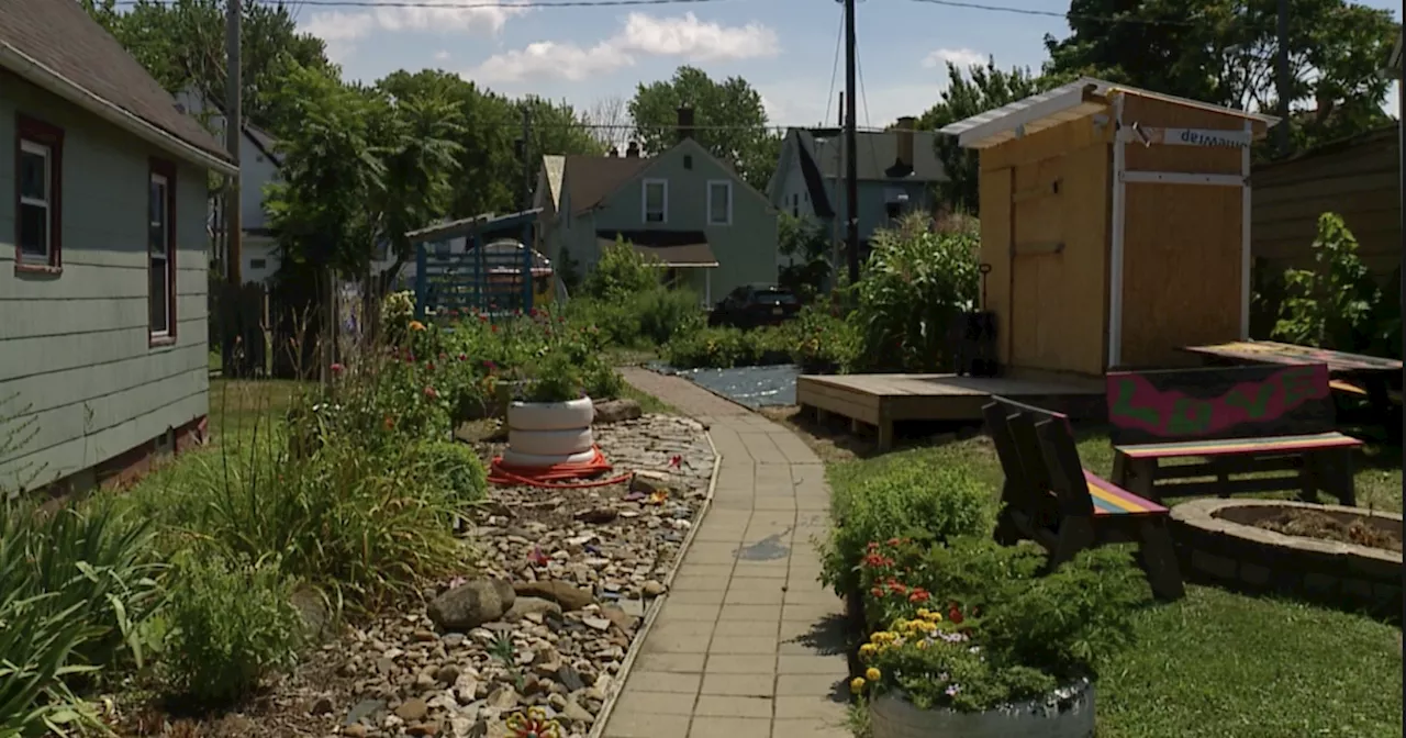 Brooklyn Centre woman using community garden to feed heart and soul