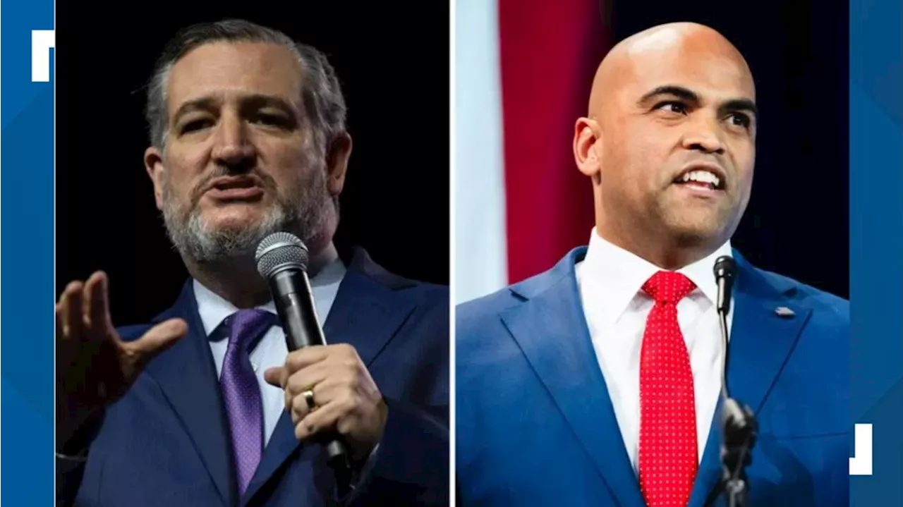 Allred outraises Cruz in latest quarter, but Cruz has more cash on hand