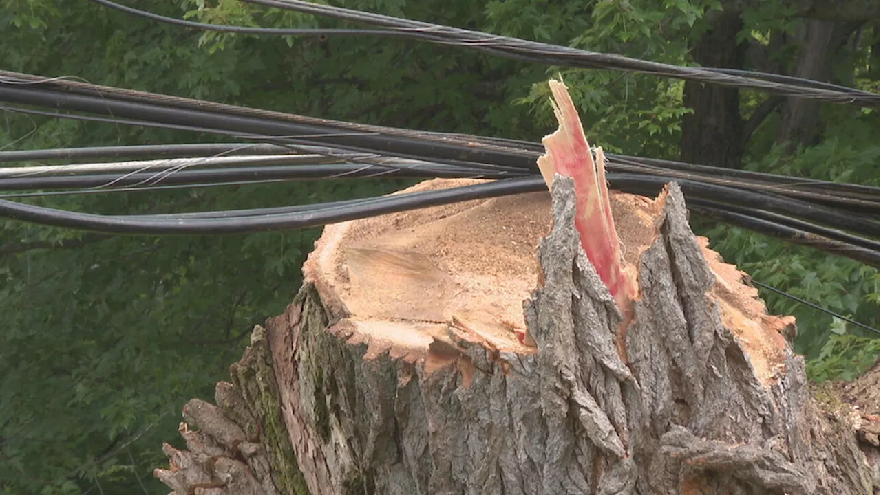 'I've never seen anything like it': Greece neighbor reacts to severe weather damage