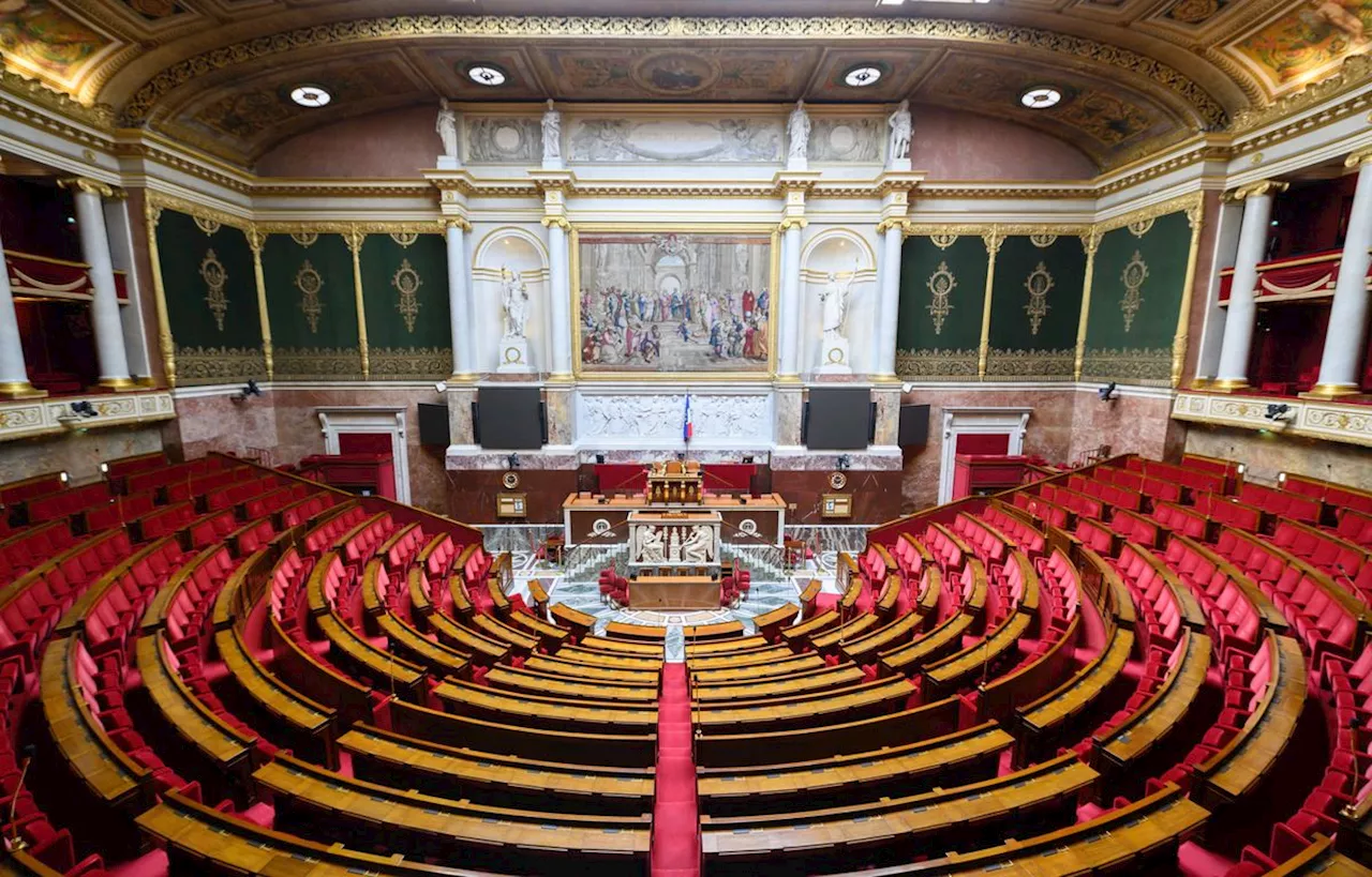 Assemblée nationale : Alors, il sera pour qui le perchoir ? On vous liste les candidats