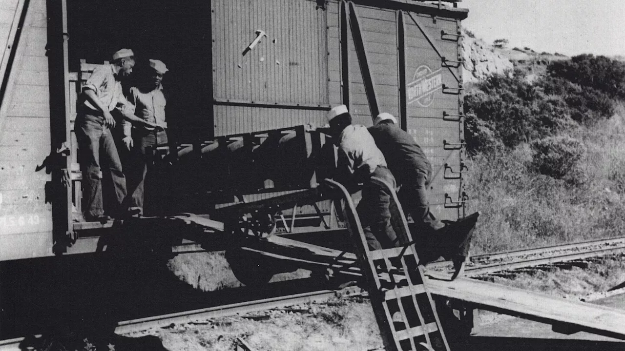 Navy exonerates 256 Black sailors unjustly punished in 1944 after a deadly California port explosion