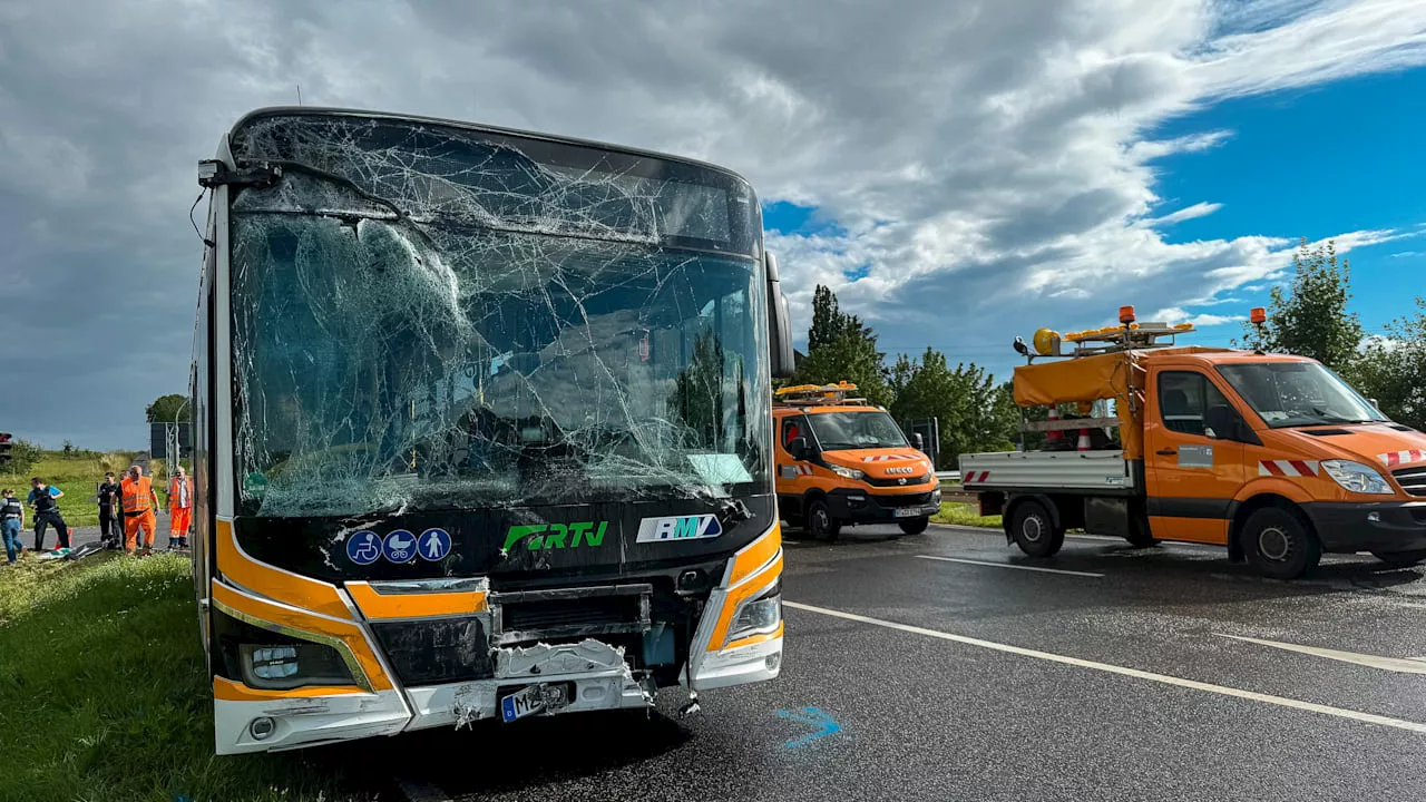 Hessen: Bus-Unfall in Hünstetten – Mann mit blutendem Kopf in Graben gefunden