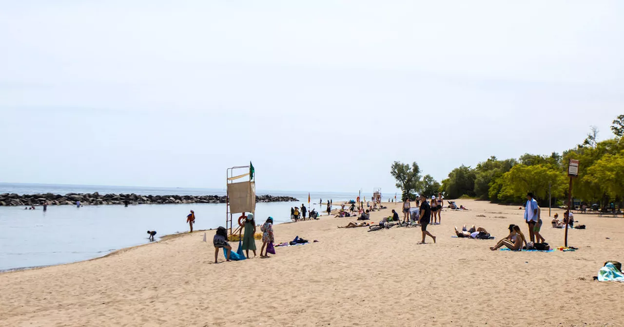 Every beach in Toronto flagged unsafe for swimming after extreme rainstorm