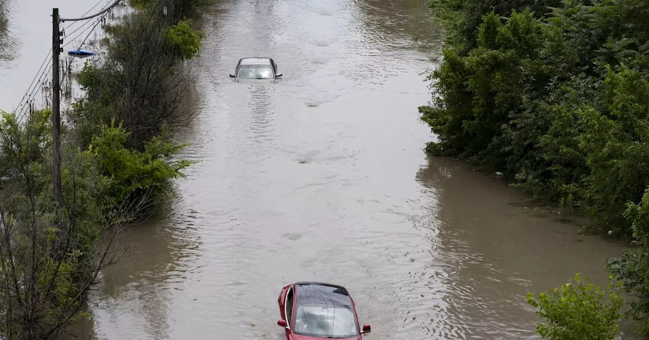 Extreme weather hit profits at over half of Canadian businesses: survey