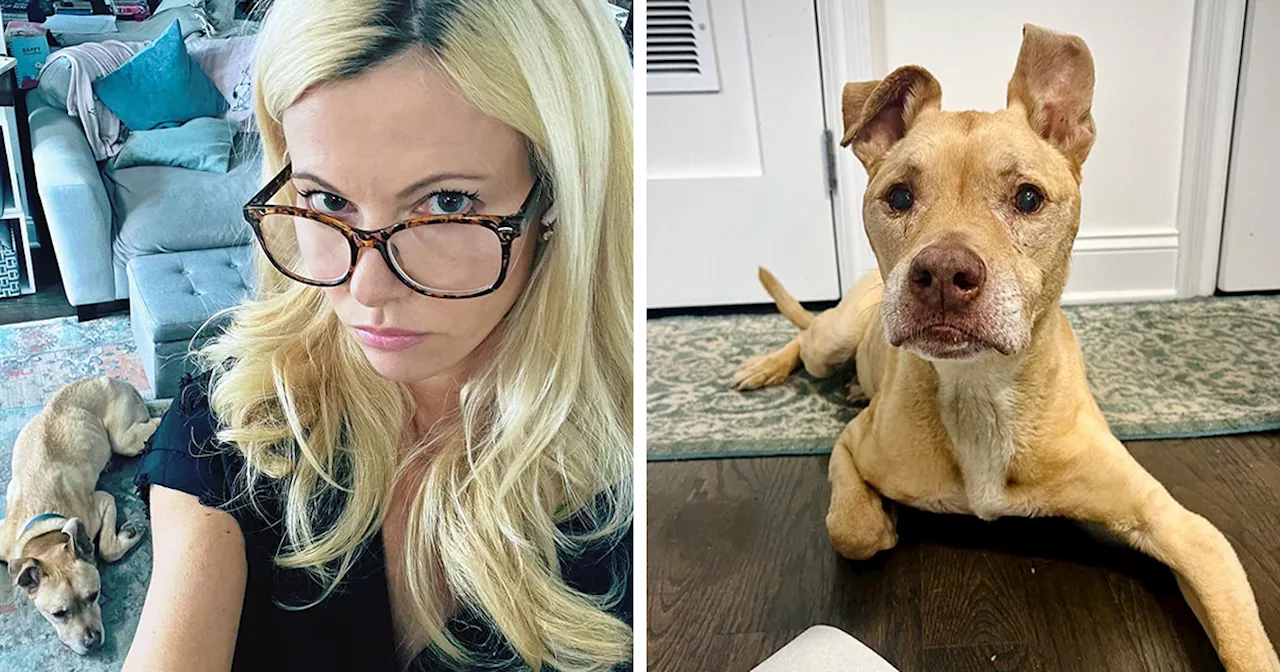 Exclusive: Bad Vegan’s Sarma Melngailis Breaks Silence On Loss Of “Immortal” Dog