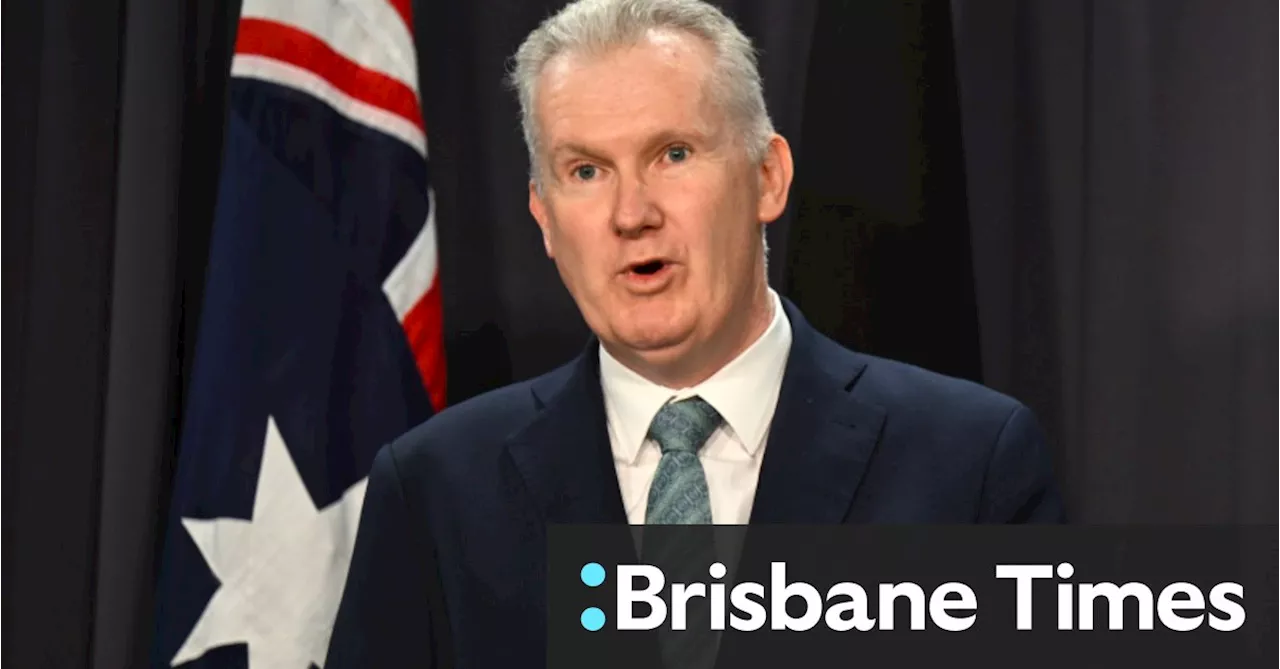 Burke asks for an administrator to run CFMEU, asks AFP to investigate union