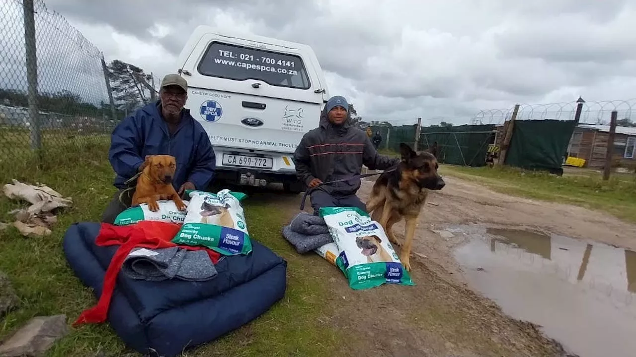 SPCA flood relief update: See your support in action | South Africa ...