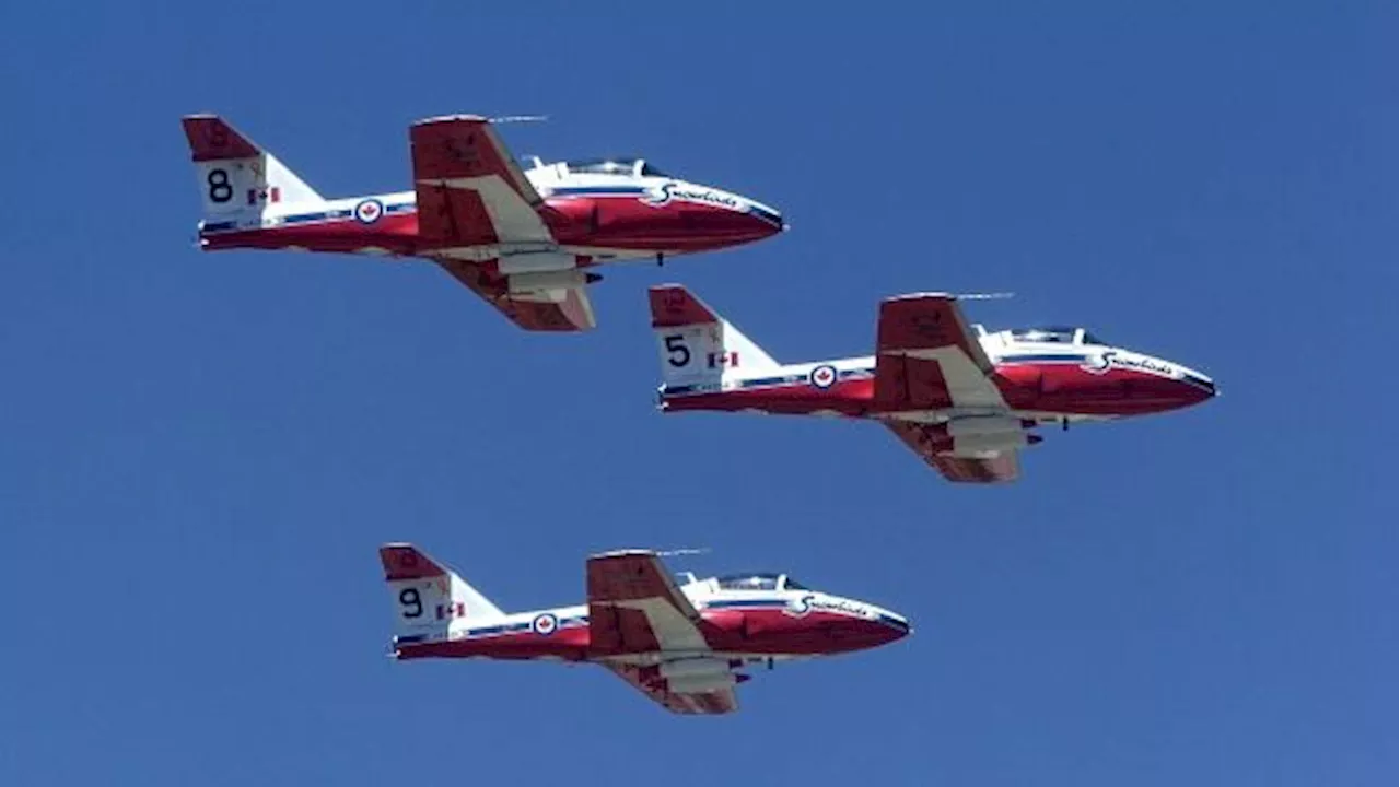 Ottawa looking at retiring some older military equipment — including the Snowbird jets