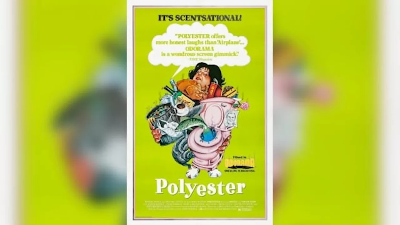 Polyester lands in Calgary and it stinks