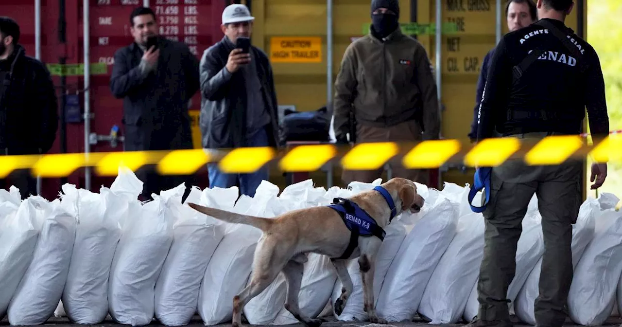 4 tons of cocaine found hidden in sugar in biggest bust in Paraguay's history