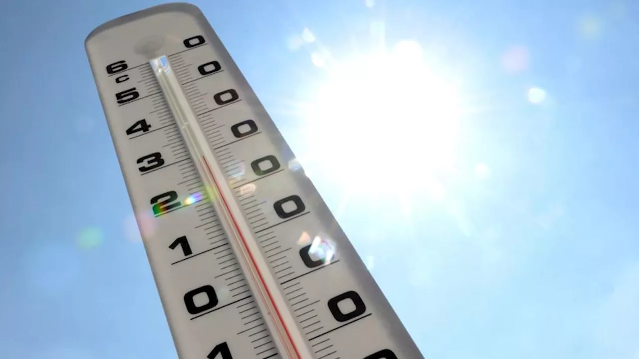 Météo : qu'est-ce que le «brasero méditerranéen» qui annonce des températures jusqu'à 40 °C ?