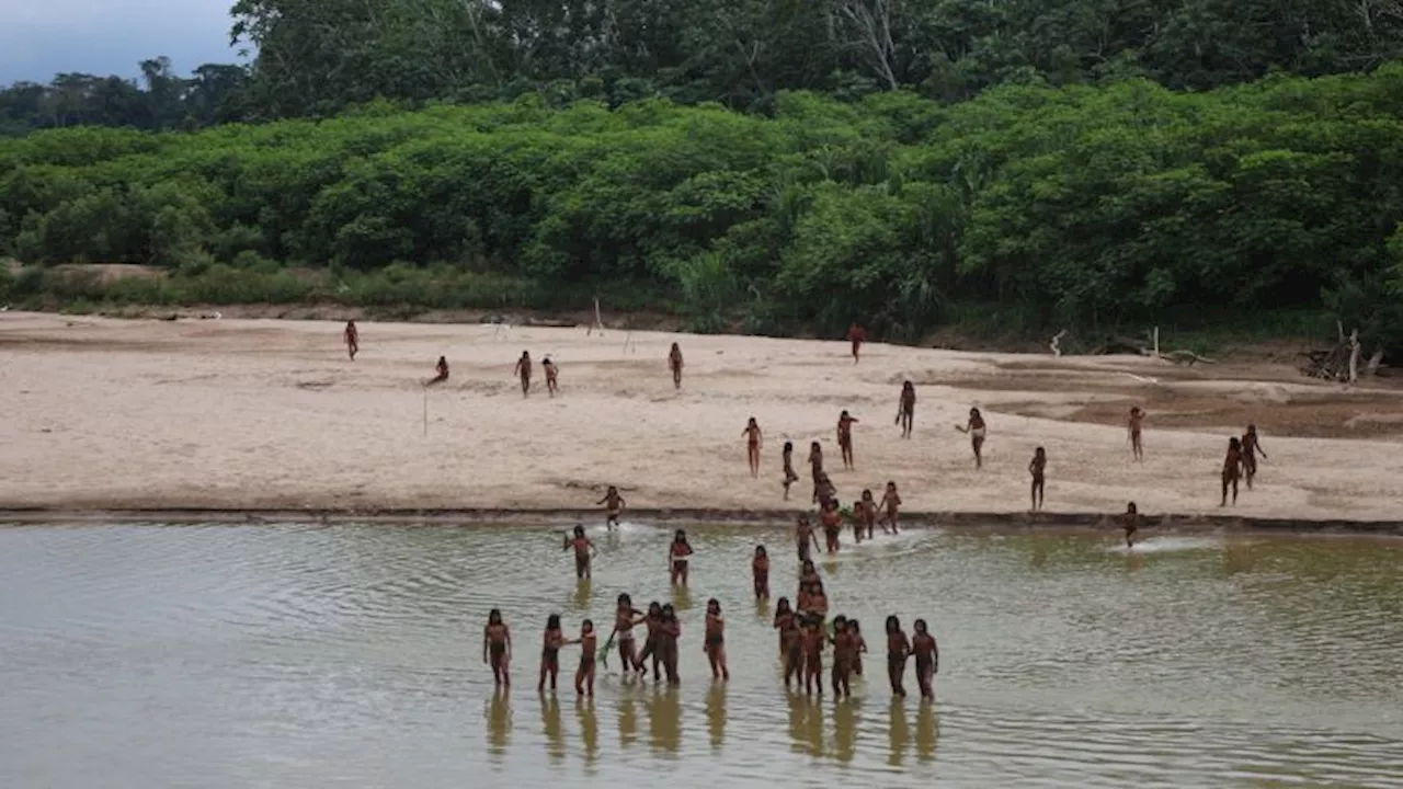 Uncontacted tribe sighted in Peruvian Amazon where loggers are active